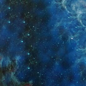 SPACE: FIL and BHAC from Inspiral to Ringdown and Beyond