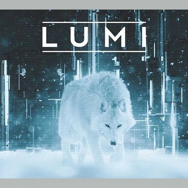 LUMI Roadshow, February 17, 2021 - online